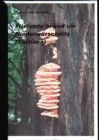 Broschüre