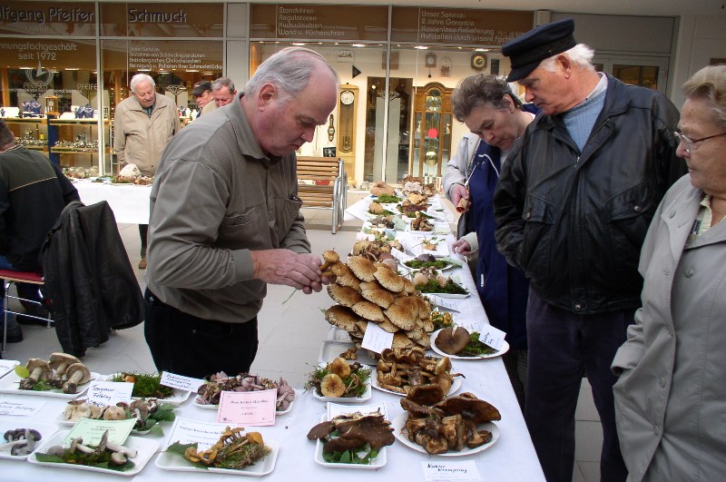 Pilzausstellung im Paletti- Park in Lugau 2004