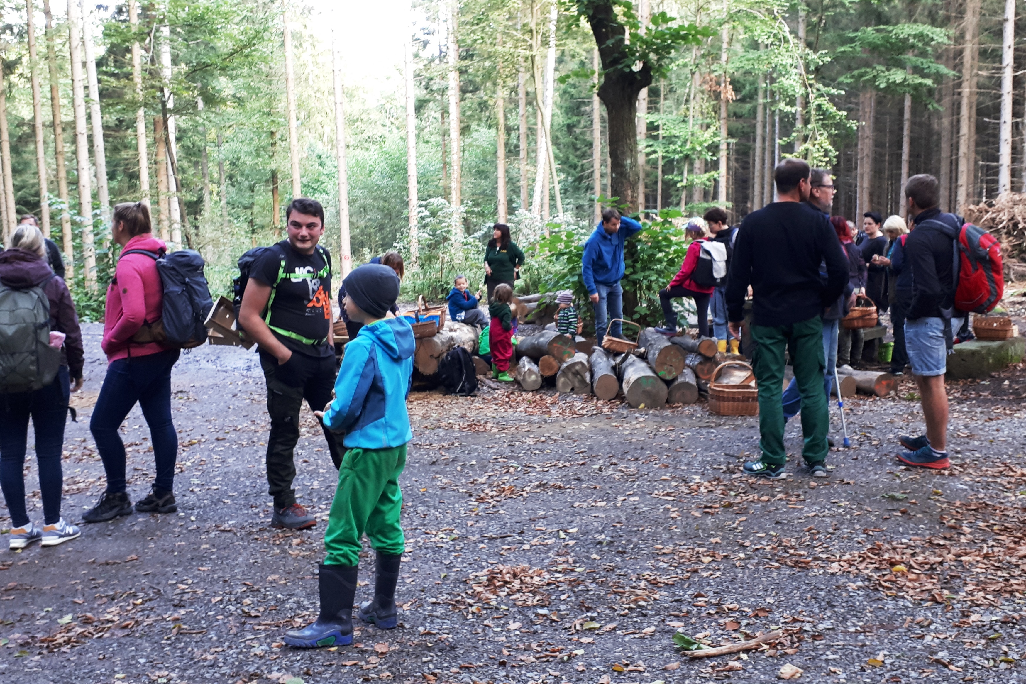 Pilzwanderung in Auerbach