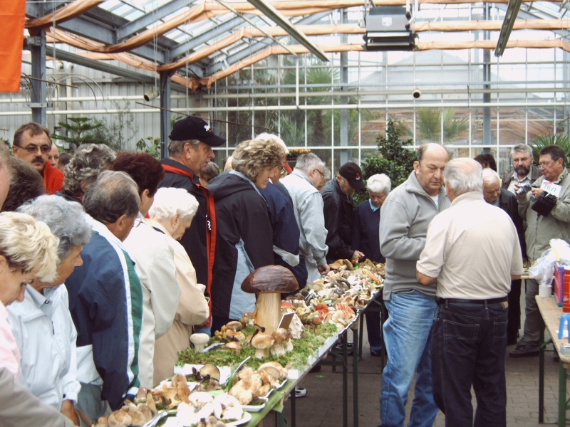 Pilzausstellung im Floraland Roth in Zwnitz Foto: A. Simon