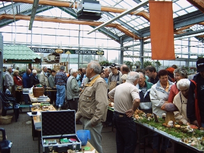 Pilzausstellung im Floraland Roth in Zwnitz Foto: A. Simon