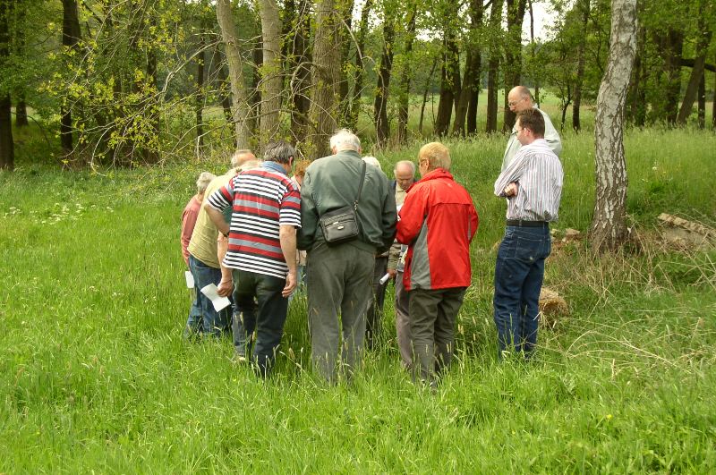 Botanische Wanderung auf den Steegenwiesen