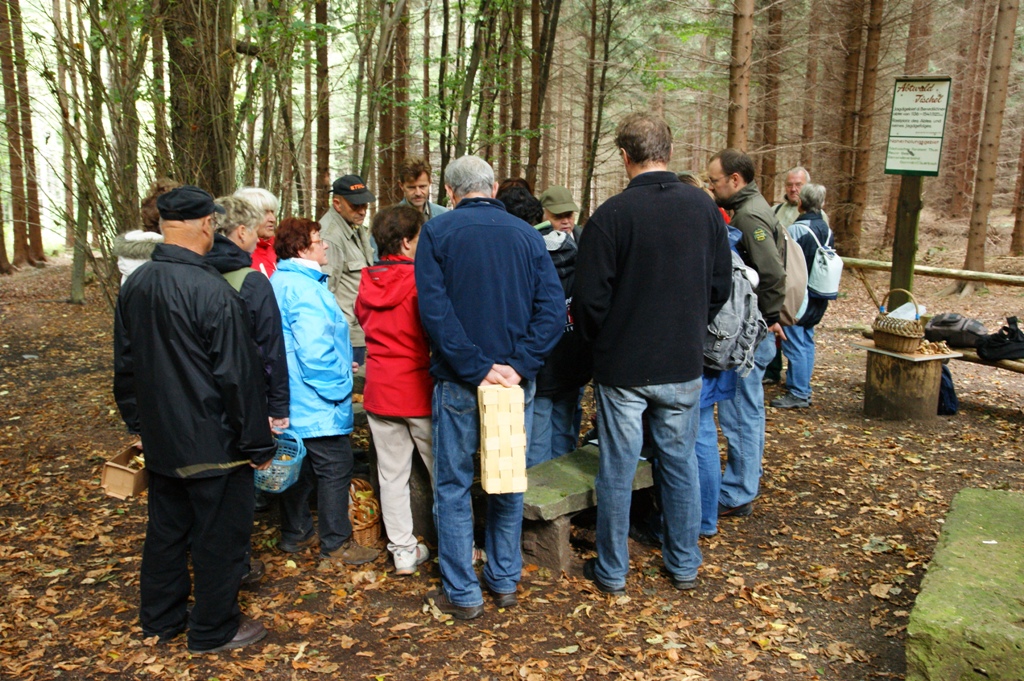 Pilzwanderung in Auerbach