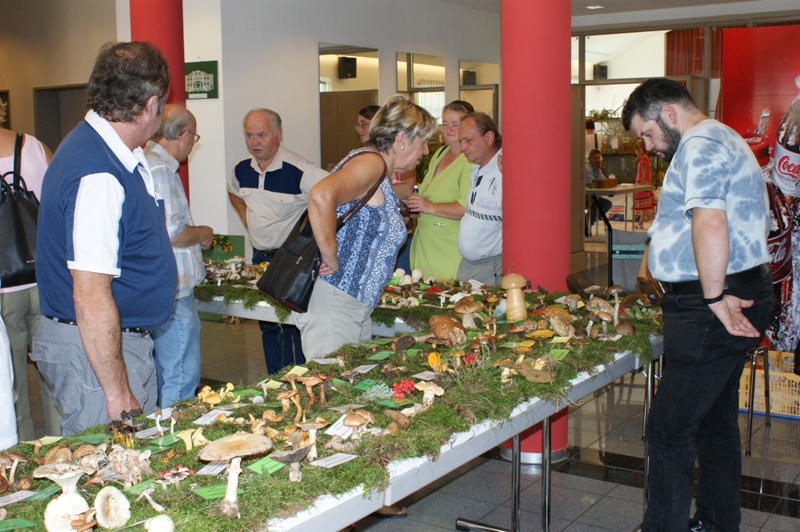 Pilzausstellung auf dem Naturmarkt in Thum