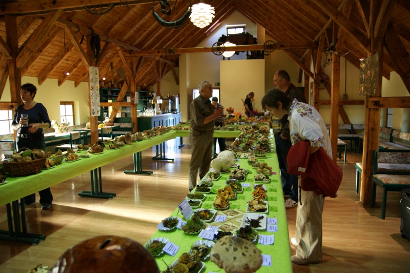 Pilzausstellung in der Tenne in Niederwrschnitz