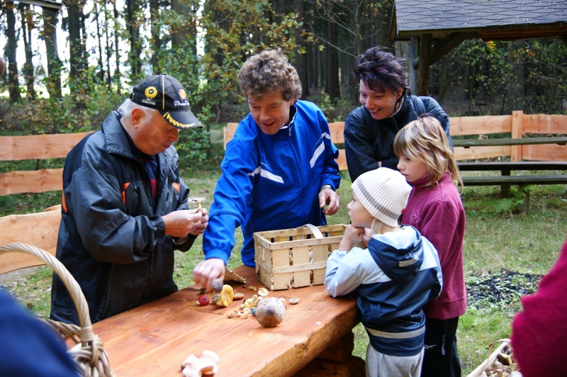 Pilzwanderung in Neuwrschnitz